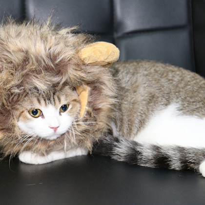Fancy Pet Costume Cute Lion Mane Cat Hat Wig..