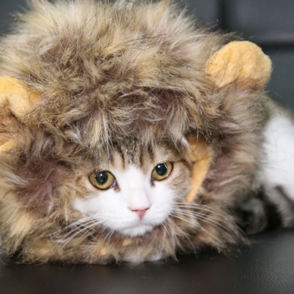 Fancy Pet Costume Cute Lion Mane Cat Hat Wig Cosplay Stuffed Plush