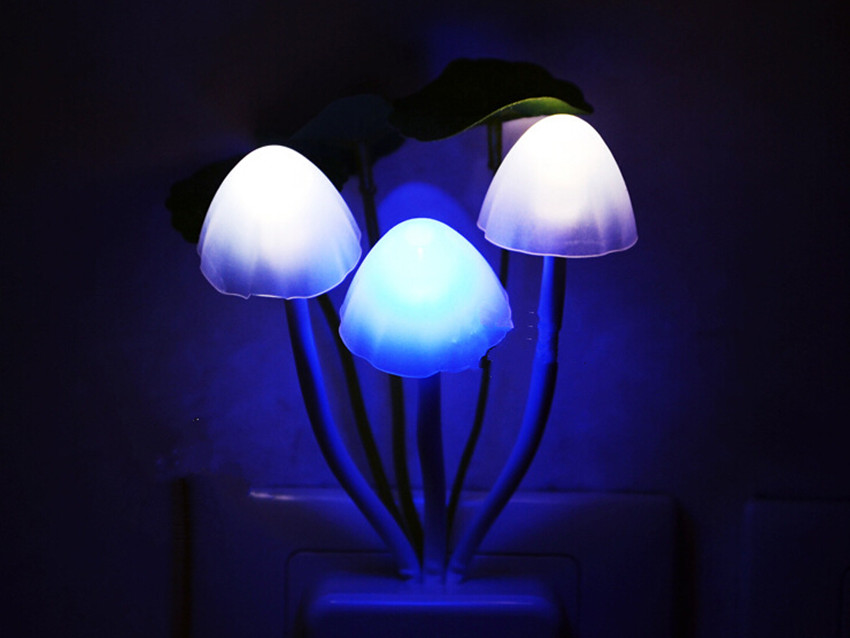 Colorful Romantic Led Mushroom Night Light Dreambed Lamp Home ...