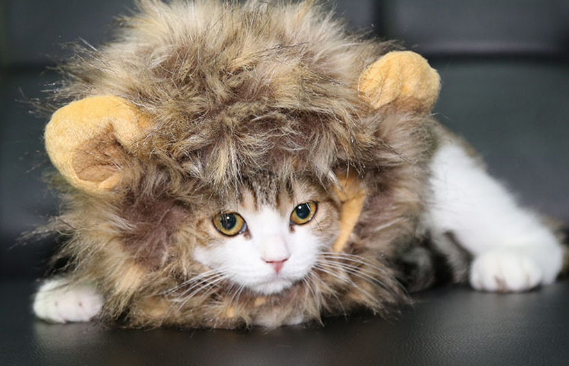 Fancy Pet Costume Cute Lion Mane Cat Hat Wig Cosplay Stuffed Plush Face Mask