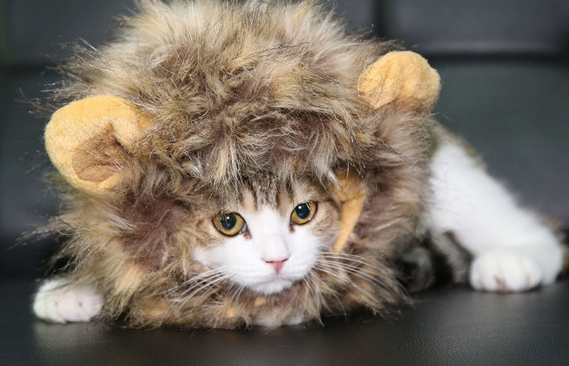 Fancy Pet Costume Cute Lion Mane Cat Hat Wig Cosplay Stuffed Plush