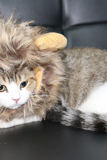 Fancy Pet Costume Cute Lion Mane Cat Hat Wig Cosplay Stuffed Plush Face Mask
